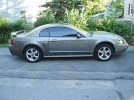 my beast.webp