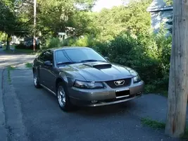 my beast2.webp