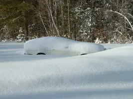 Winterstang.webp