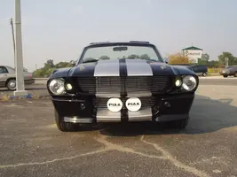 Frt Resized Eleanor Vert.webp