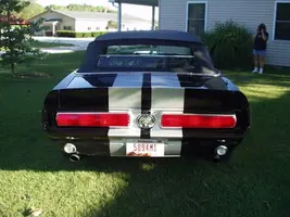 Rear Resized.webp