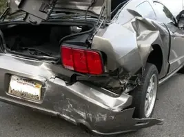 mustang1a.webp