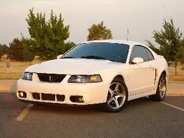 Cobra1.webp