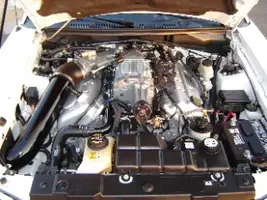 Motor2.webp