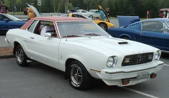 1978 mii.webp