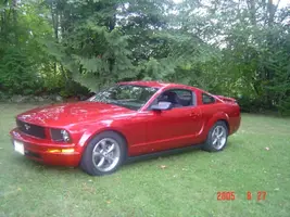 2005 mustang 054.webp