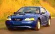 images.webp