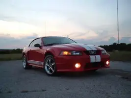 roush pics 001.webp