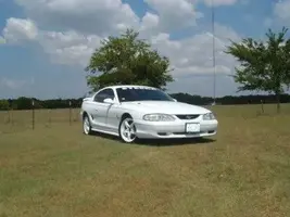 tint 004.webp