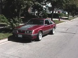 stang 3.webp