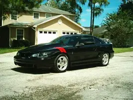 my cobra.webp