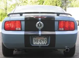 Nice Ass.webp