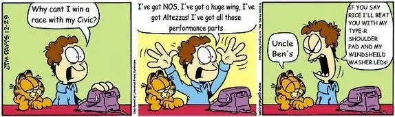 garfield -Ricer.webp