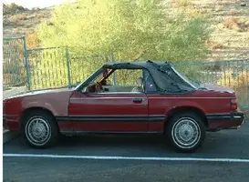 mustanggg.webp
