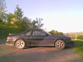 Picture011.webp
