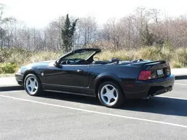 18560stang2_001.webp