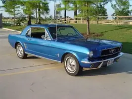 66 Mustang.webp