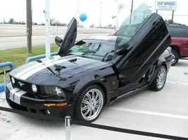 lambostang.webp