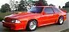 mustang%20003.webp