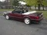 stang 2.webp stang 2.webp