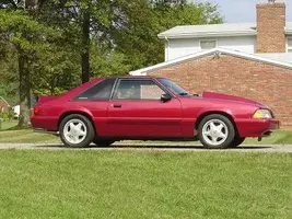 stang 004.webp