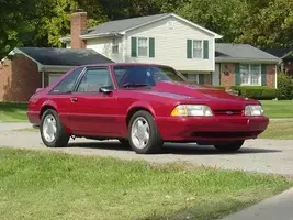 stang 005.webp