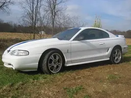 Cobra.webp