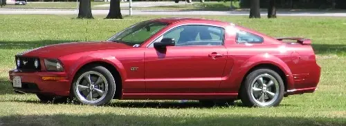 Mustang_9-11-05.webp