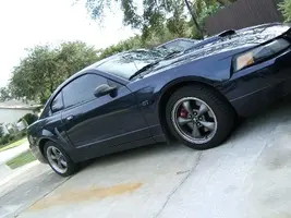 Bullitt.webp