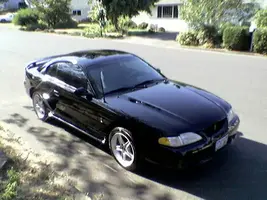 Mustang1.webp