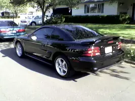 Mustang4.webp