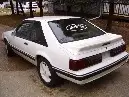 mustang 002.webp