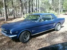 Mustang_small.webp