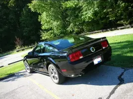 mustang_1.webp