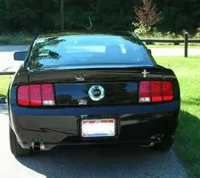 mustang_2.webp