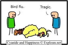 bigbird.webp