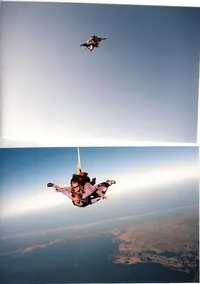 3.webp