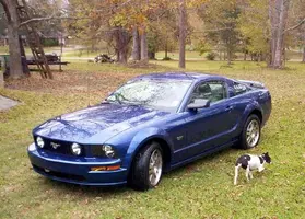 06_STANG_001A.webp