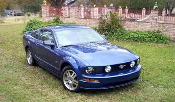 06_STANG_002.webp