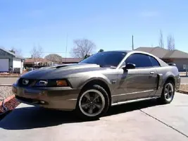 mustang4.webp