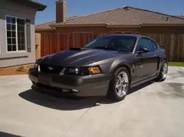 Chrome Mach1's.webp