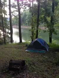IMG_16031_zps6435b2c6.webp