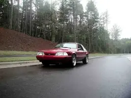 stangfront1.webp
