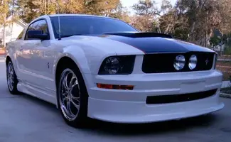 stang1.webp