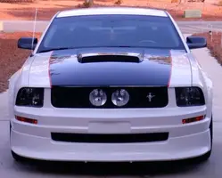 stang2.webp