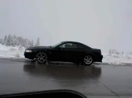 fwd_mustanga211.webp