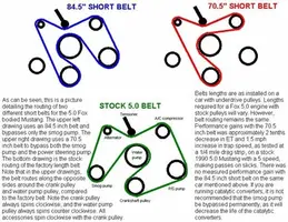 Short belts.webp