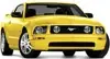 ScreamingYellow_small.webp