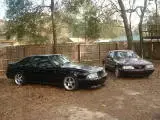 th_88mustangzzzz012.webp