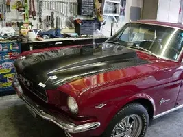 mustang.webp